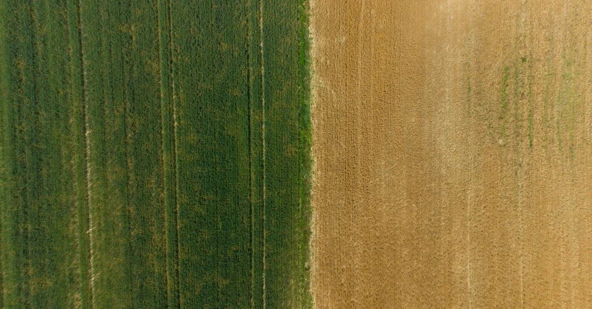 Photo par drone de champs verts et marron capturée d'en haut, montrant le contraste agricole.